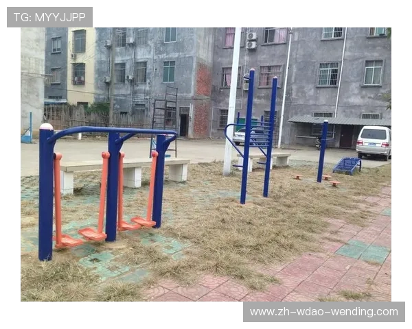 健身器材及设备全景介绍及功能解析